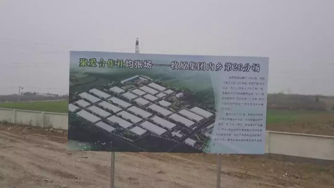 廣東豬場(chǎng)最新招聘信息，科技智能養(yǎng)殖，開啟未來新篇章