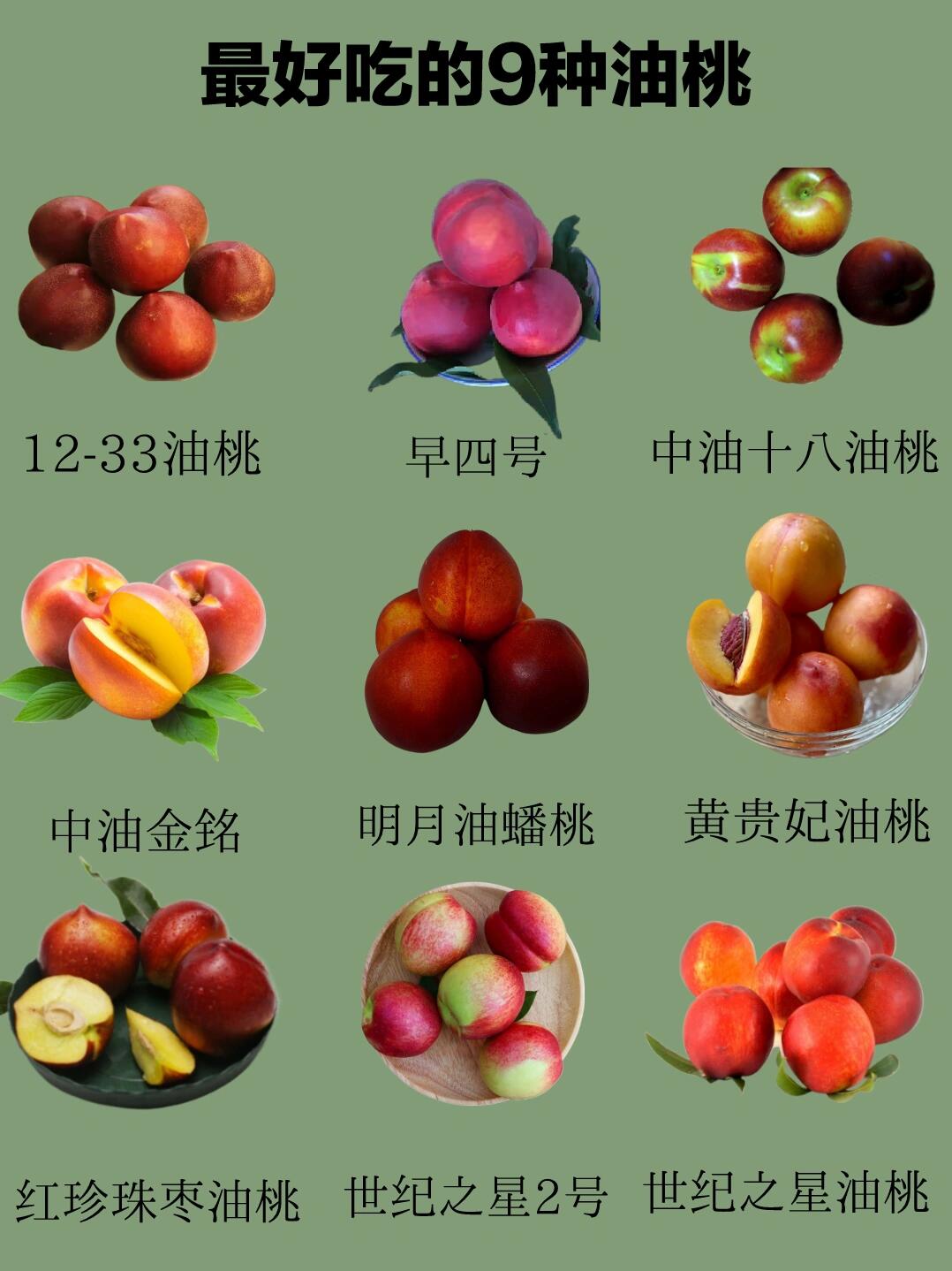 油桃新品種全面解析，最新油桃品種介紹
