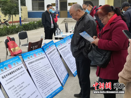 時代背景下的獨(dú)特篇章，望都新聞最新消息速遞