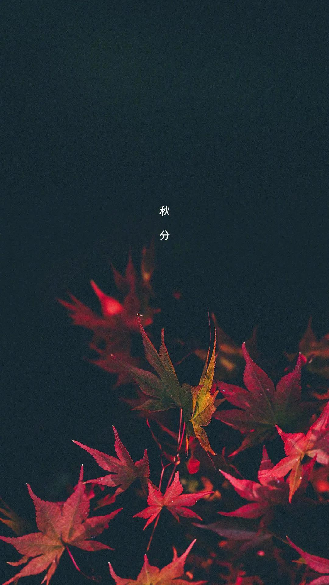 魁族最新手機，時代寵兒之選