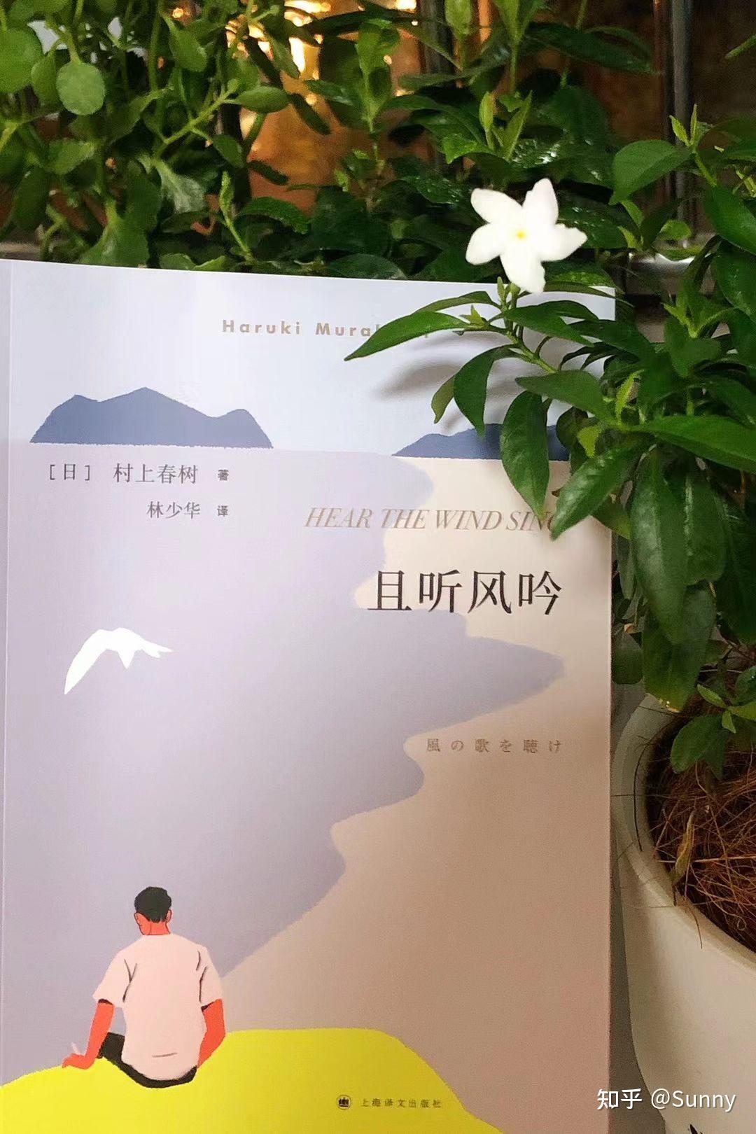 側(cè)耳聽風(fēng)最新小說，奇幻之旅探索神秘世界