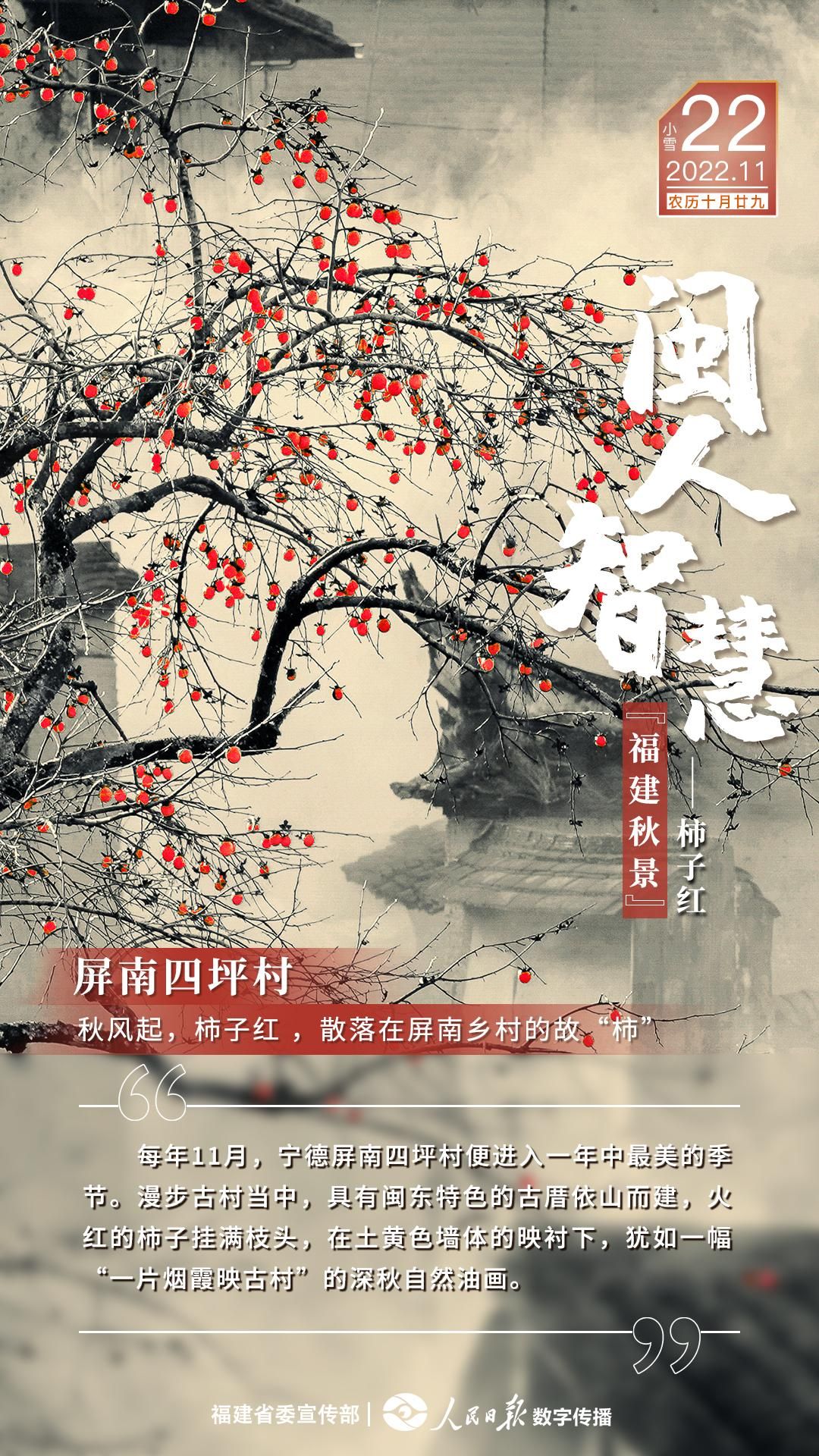屏南論壇最新動(dòng)態(tài)，小巷深處的驚喜——特色小店揭秘