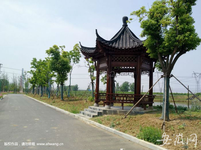 吳山至南崗最新動(dòng)態(tài)，砥礪前行，自信成就未來(lái)之路