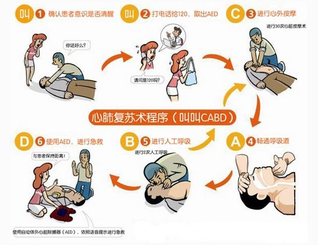 心肺復(fù)蘇最新標(biāo)準(zhǔn)2025，變化中的自信與成就感的力量探索