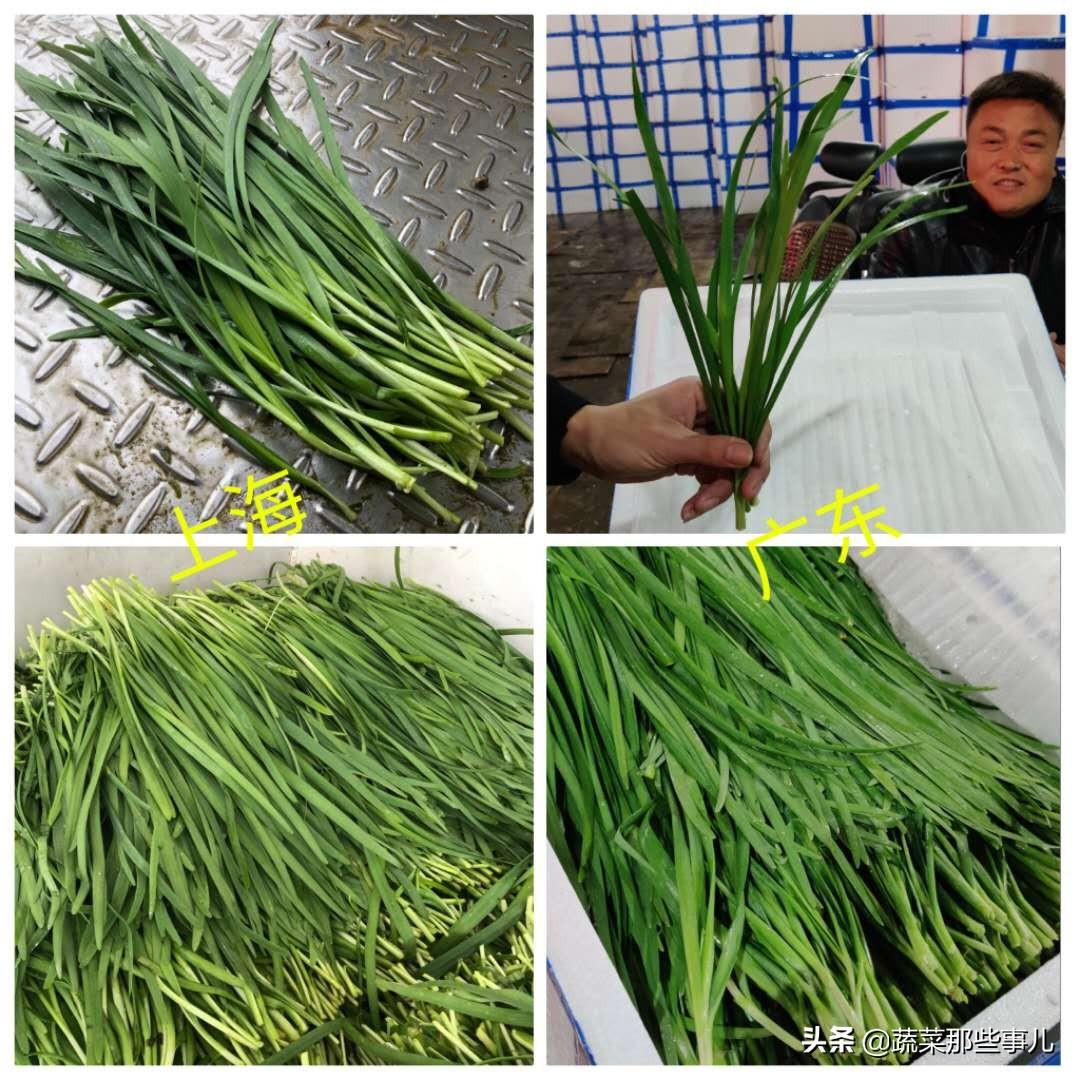 道路普通貨物運(yùn)輸 第62頁(yè)