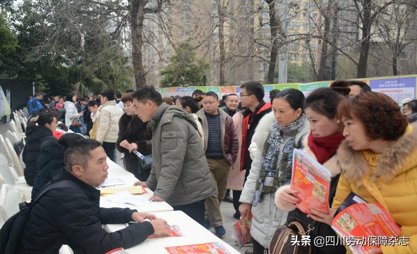 金堂最新招聘信息，職場機(jī)遇與友情的溫暖交匯