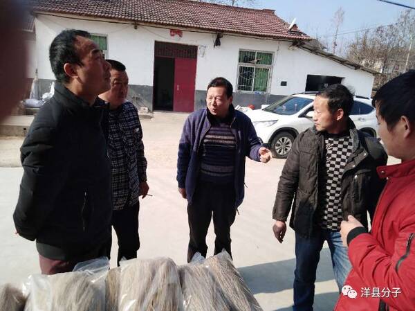 洋縣槐樹(shù)關(guān)最新新聞動(dòng)態(tài)更新