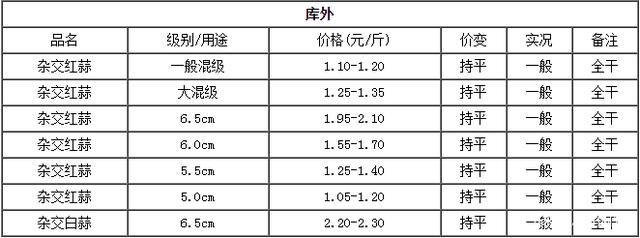 邳州大蒜凈蒜最新價格