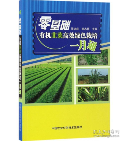最新韭黃種植技術(shù)視頻教程，從入門到精通指南