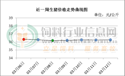 廣東今日最新豬價漲跌動態(tài)與溫馨故事回顧