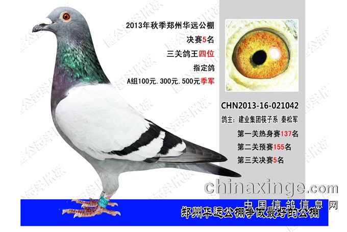 鄭州華遠(yuǎn)公棚最新公告