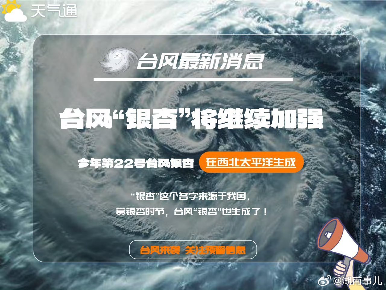 溫暖臺(tái)風(fēng)最新動(dòng)態(tài)及小巷深處的獨(dú)特風(fēng)味